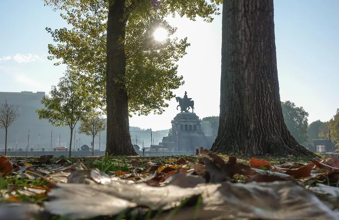 Hotel Zur Loreley Garni Mit Grossem, Sicherem Fahrradraum-1